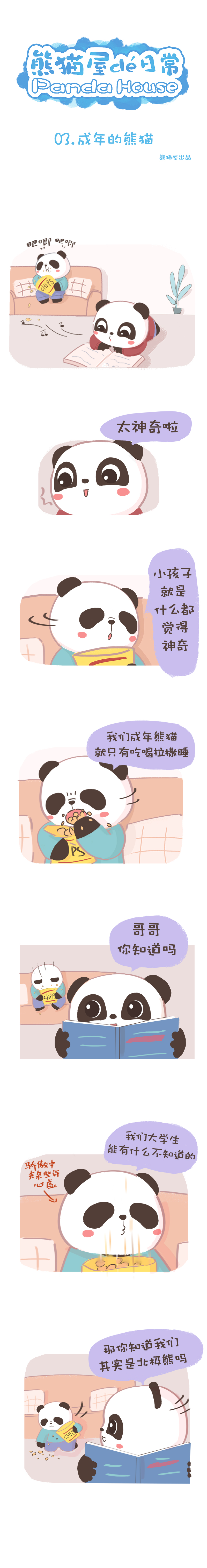成年熊猫